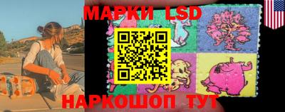 apvp Краснодар