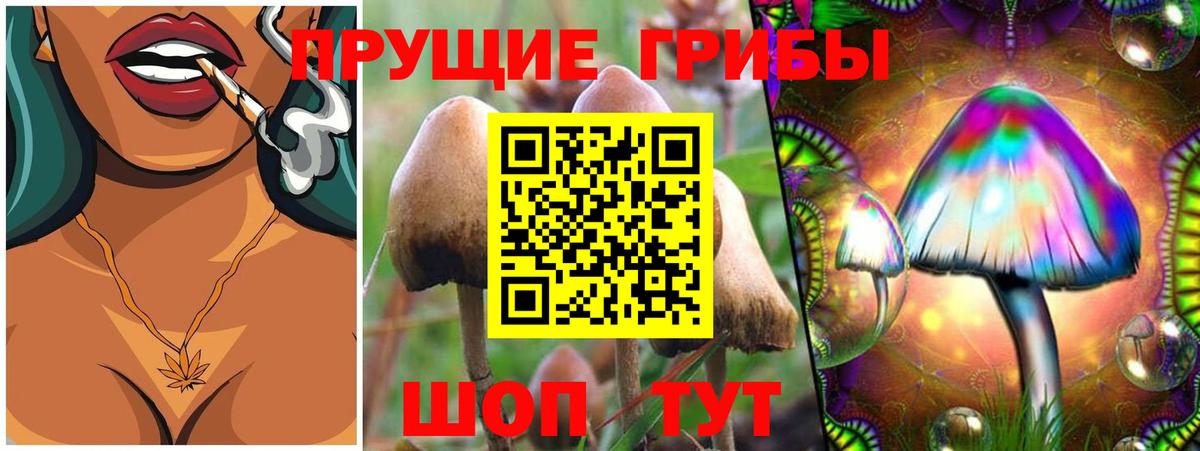 Железноводск  Псилоцибиновые грибы мухоморы  Галлюциногенные грибы мицелий  Вход с VPN 