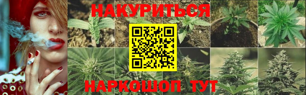 Бошки Шишки ГИДРОПОН Железноводск